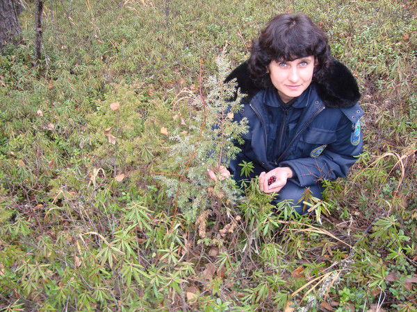 Елена Шумейко