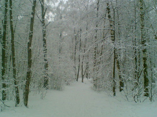 Игорь Исаков