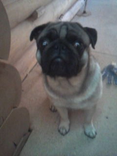 Сергей Колмаков