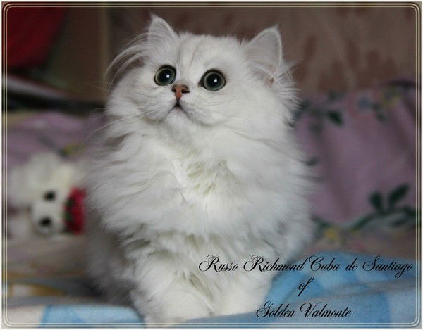 Анастасия Обухова