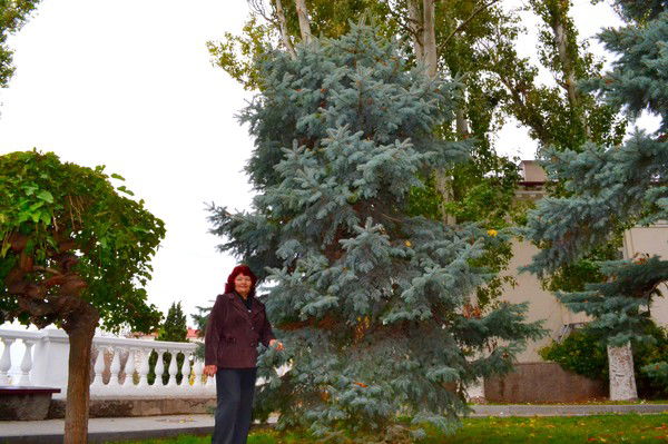 Нина Протас