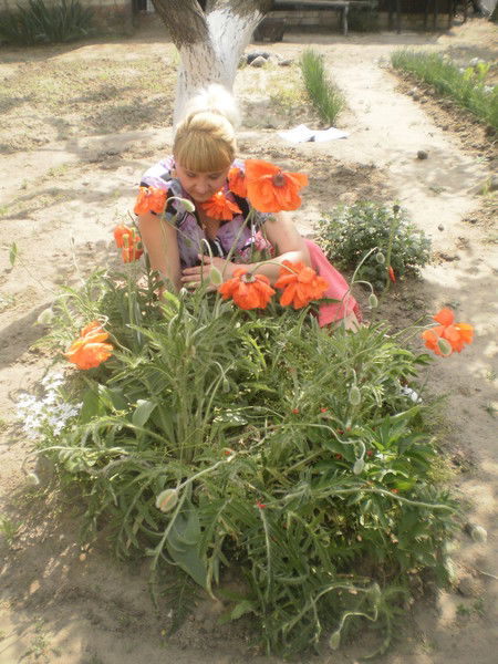 Наталия Шепель (Саввина)