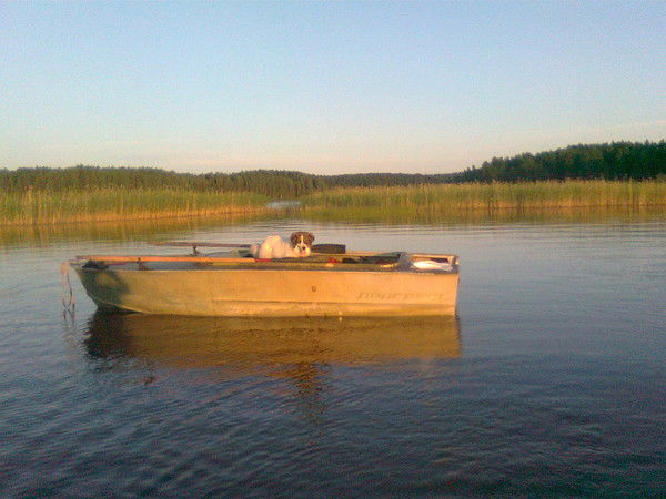 Николай Кудрявцев