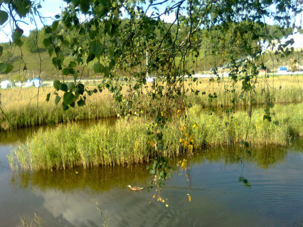 Айдар Фаттахов