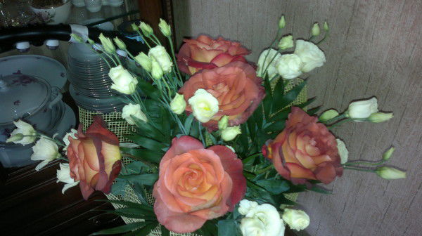 Алатырцева Галина