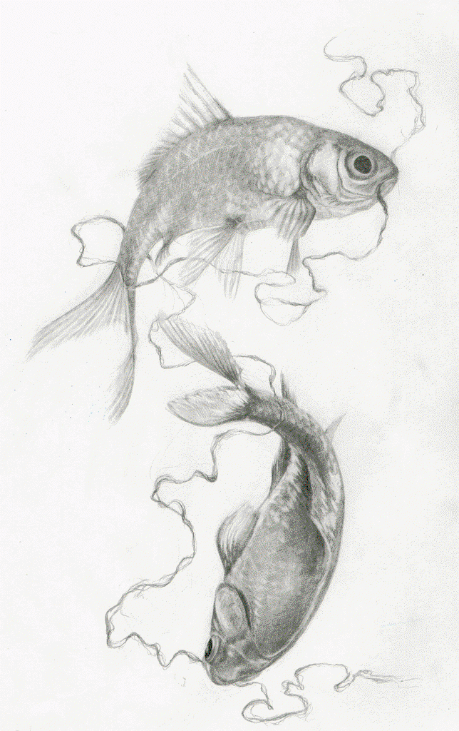 Марина Барышева