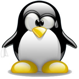 Сагадат Мисарулы