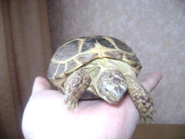 Екатерина Екатерина