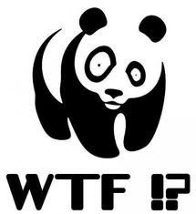 Кирилл Коневец