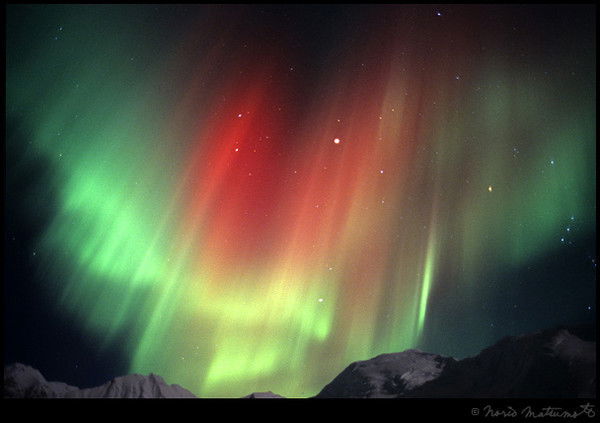 Татьяна Кривошеина