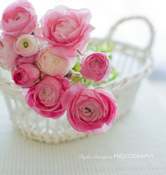 Виктория Погорелова