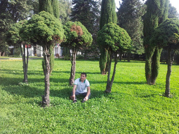 Айбол Абдыкааров