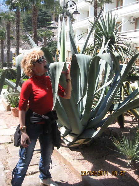 Татьяна Мальцева