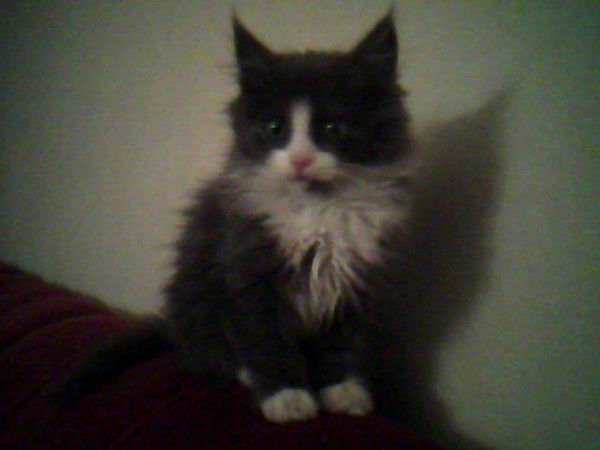 Марина Парфемчик