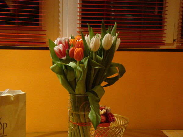 Наталья Дадукова