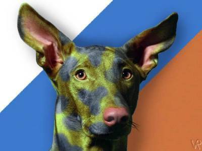 Сергей Катаев