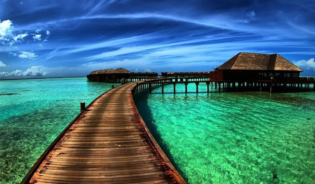 Алёна Орлова