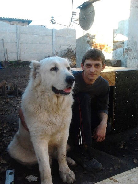 Алексей Говоров