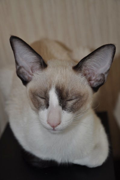 Марина Юрьевна