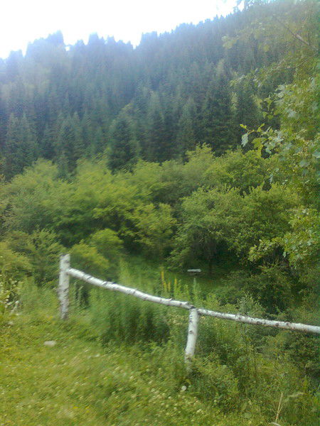 Гульнар Есмагамбетова