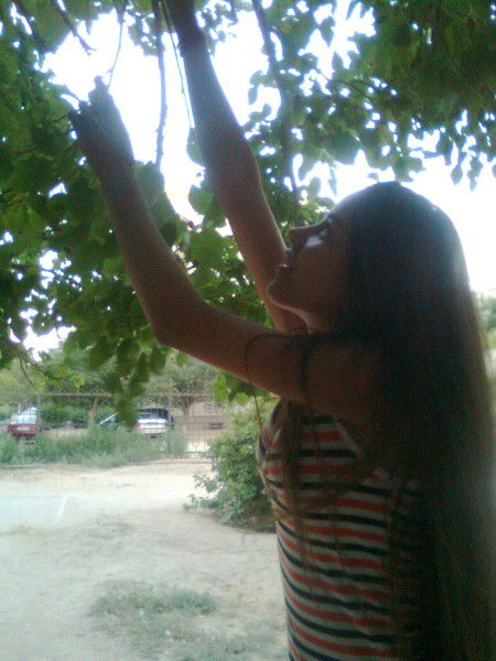 Шаймарданова Адэлия