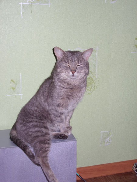 Оксана Коваленко (Карнаух)