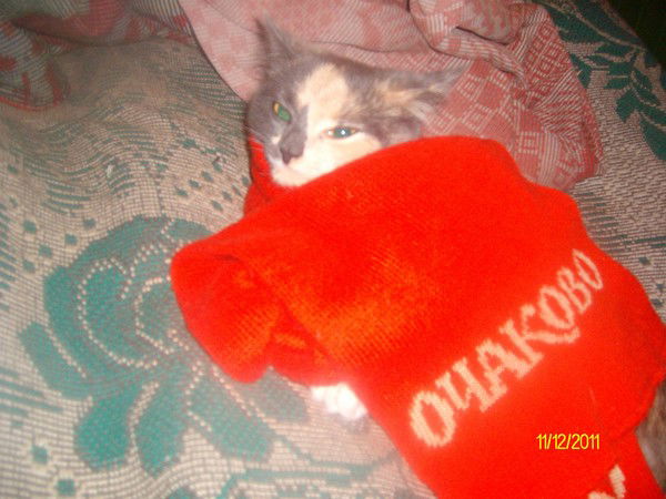 Серж Герасимов