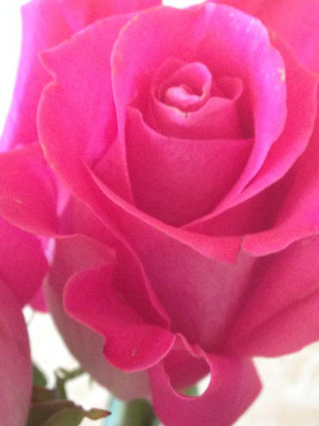 Анастасия Тимошенко