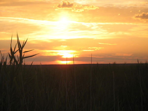 Александр Мликов