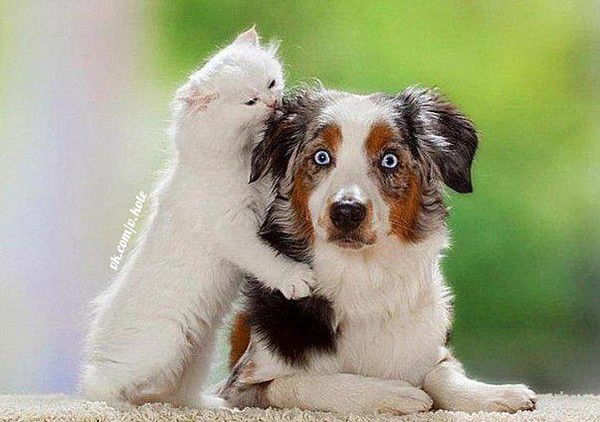 Линар Сираев