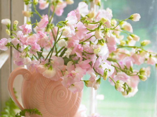 Зинаида Адамович