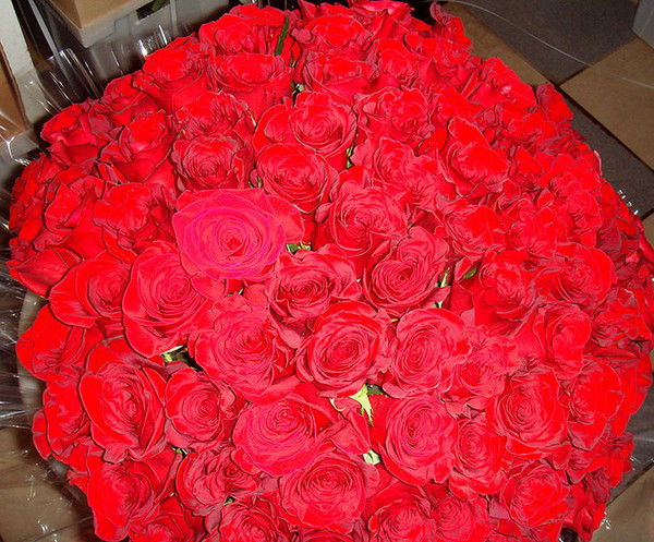 Нурия Ермекбаева