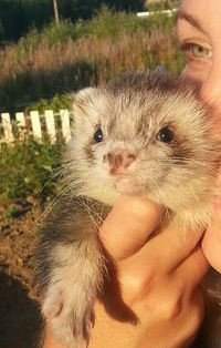 Юлия Воронова