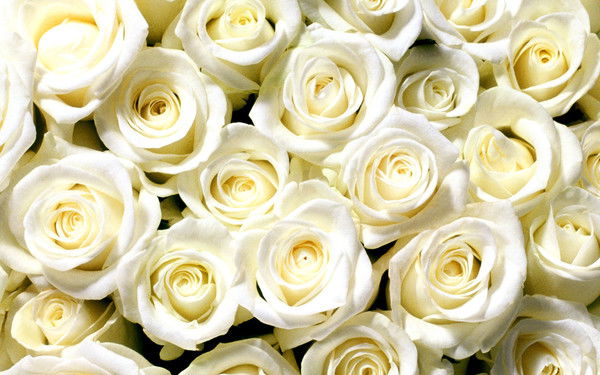 Акгул Тыманбаева