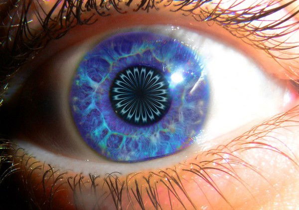 Евгений Гречко