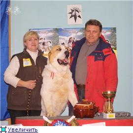 Елена Ермакова