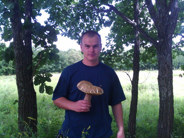 Андрей Белич