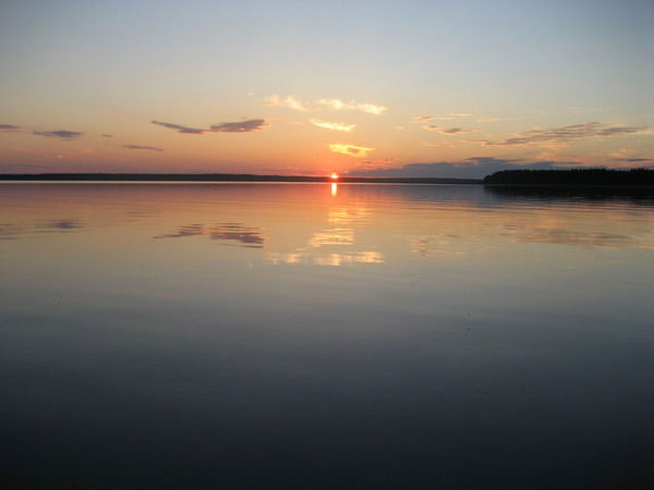 Алексей Санкин