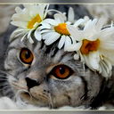 Наталья Белякова