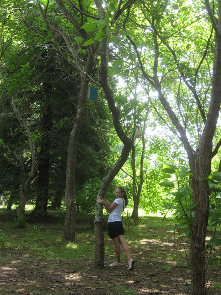 Аня Захарова