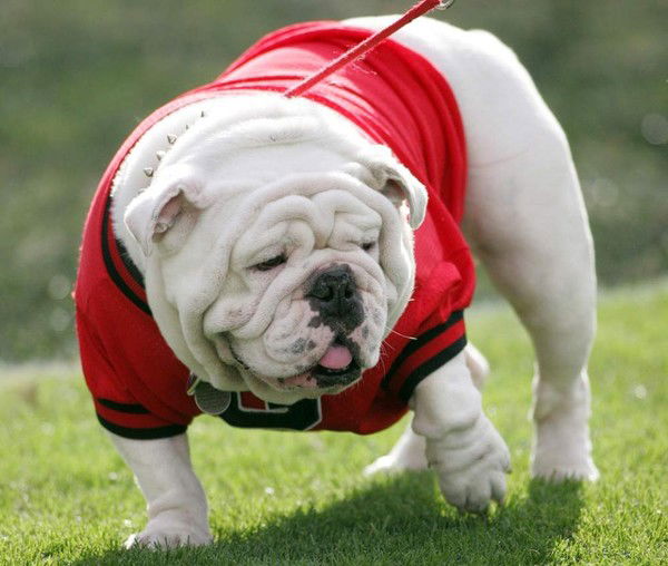 Тима Куатов