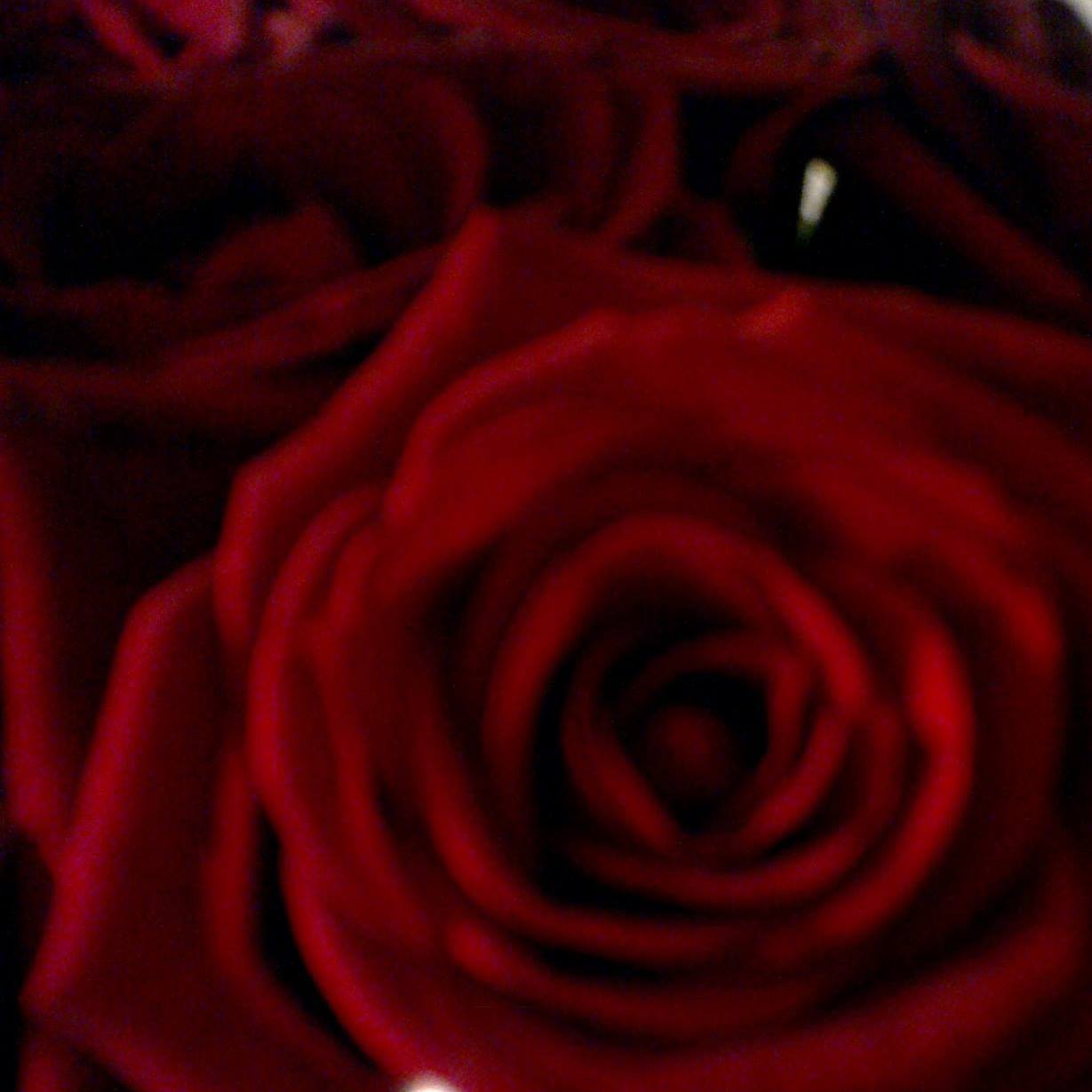 Олеся Макарова