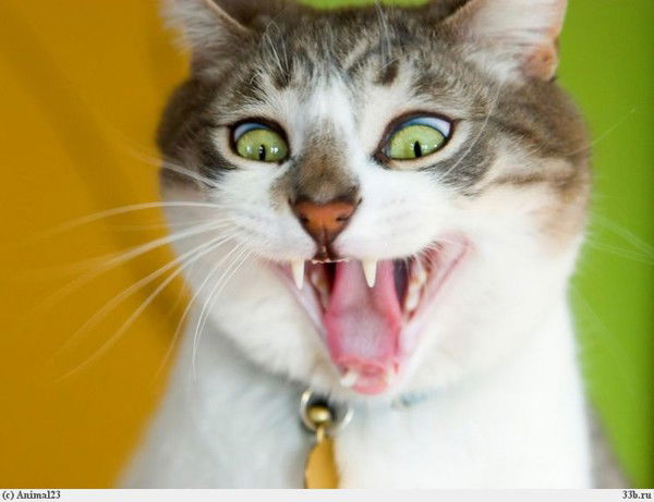 Татьяна Татьяна