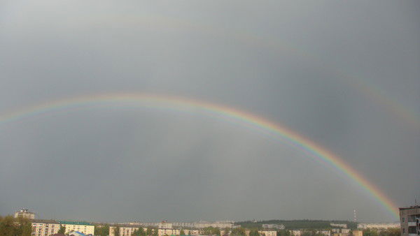 Наталья Булатова