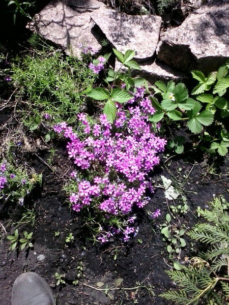 Наталья Наказуева