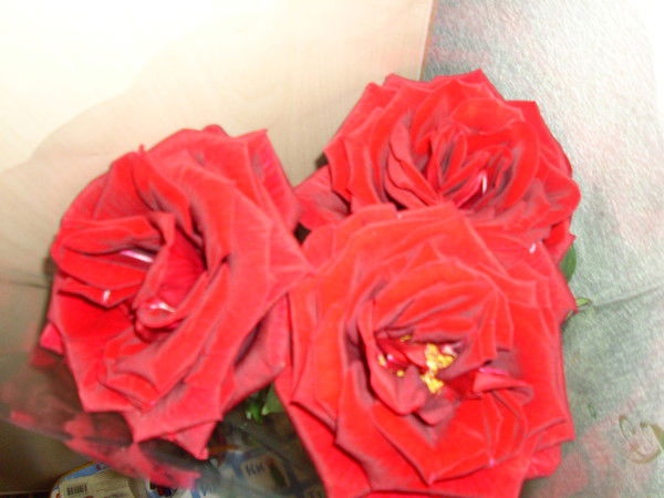 ***наталья ***