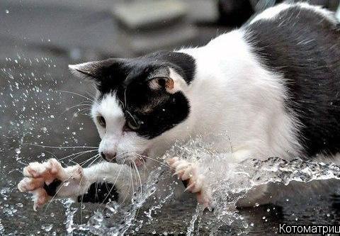 Наталья Александровна