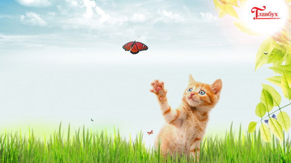 Ольга Бороденко