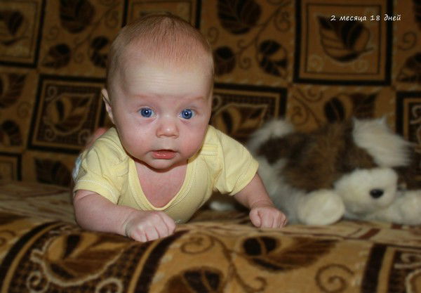 Ольга Смирнова