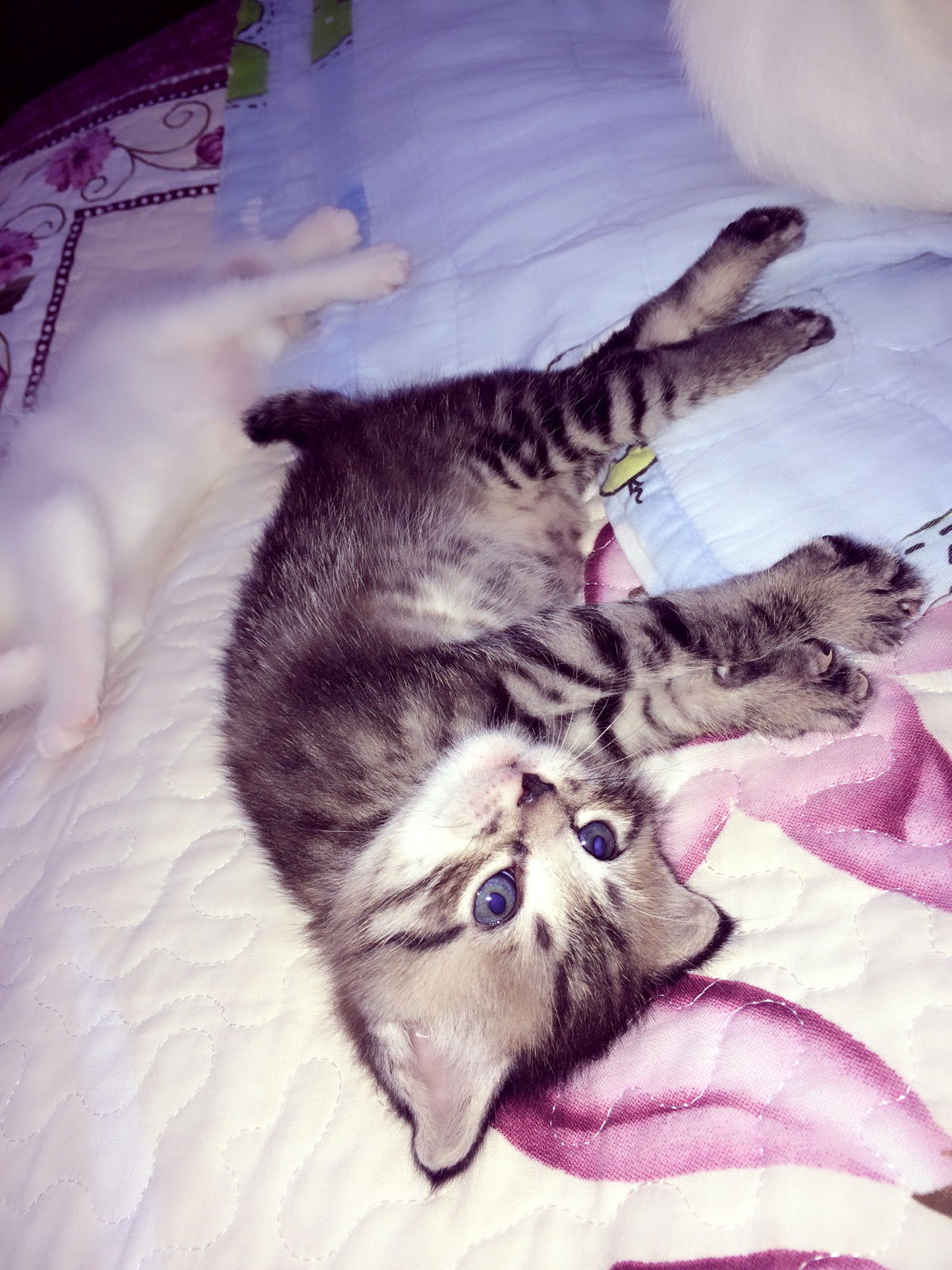 Зая Канатовна